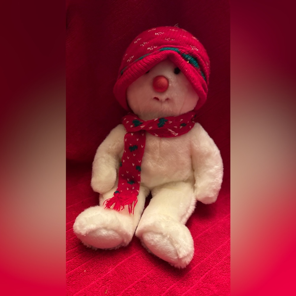 Ty 1999 Beanie Buddies Collection "Snowboy"